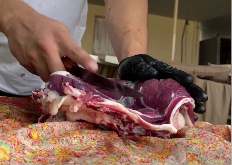 Qurbonlik xizmatlari